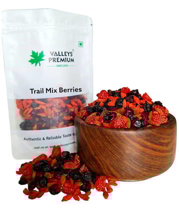 Valleys Premium Trail Mix Berries 400 Grams (Strawberries, Blueberries, Cranberries, Gojiberries)