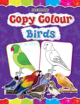 Copy Colour: Birds (copy Colour Books) [Paperback] Dreamland Publications