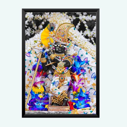 NOKKES Radha Raman ji Vrindavan Radha Raman Thakur Ji Photo Frames Religious Photo frame 5X7 Inch Photo Frame_QWW91