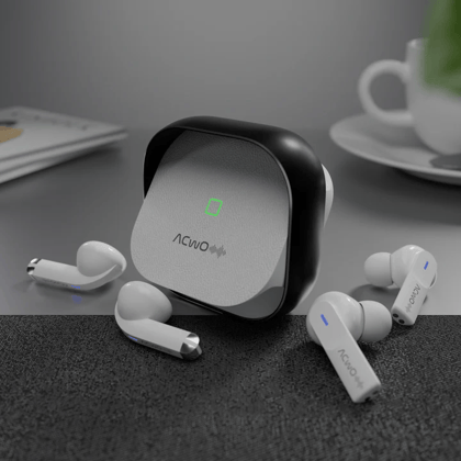 DwOTS Fire Earbuds