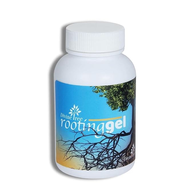 DIVINE TREE Rooting Gel Root Hormone Stimulator for Stronger Roots | Fast Root Starter | Rapid Rooting Gel Best for Hardwood, Semi-hardwood and Softwood Plant Cutting (100ml)