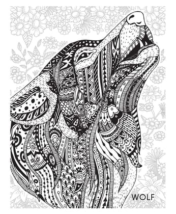 Animals & Birds - Creative Doodle Colouring Book For Beginners And Adults [Paperback] Dreamland Publications [Paperback] Dreamland Publications
