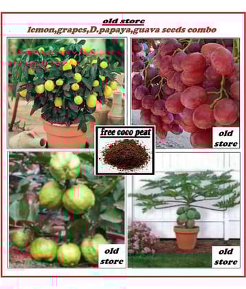 Fruit seeds combo pack of ( d,papaya,grapes,lemon,white guava ) 10-10 seeds of each 1 with free coco peat and user manaul