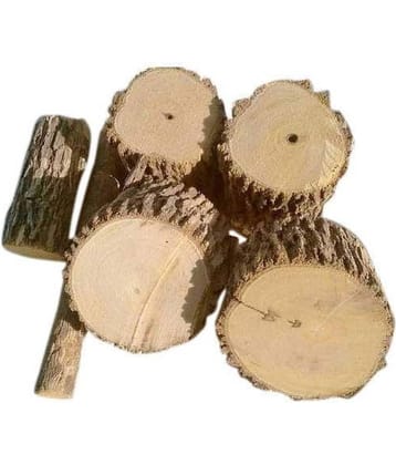 Nutrixia Food Arni Mool -Arni-Arani - Agnimanth - अरनी मूल - Clerodendrum Phlomidis 50 gm