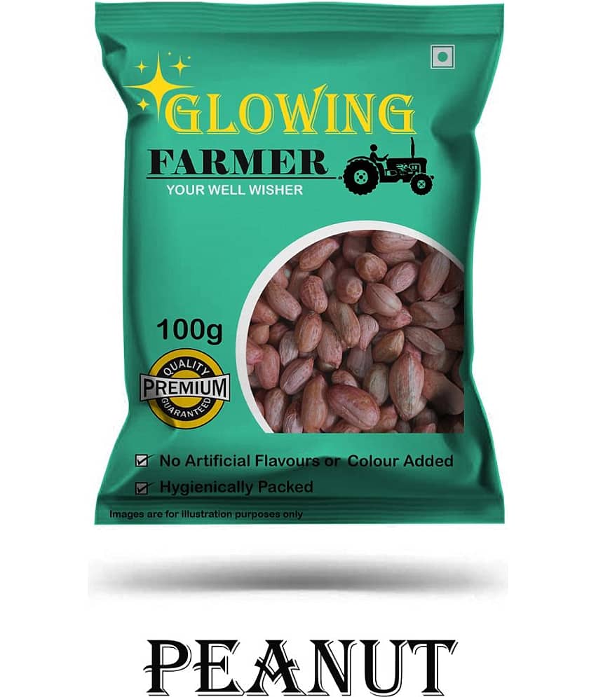 GLOWING FARMER Raw Peanut Seeds / Mungphali Dana 100 gm