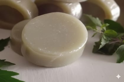 Tulsi neem mint soaLaksh Herbal Products Tulsi Neem Mint Soap for Fresh and Healthy Skin 1 pcp