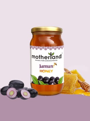 Motherland Pure Pure Jamun Honey ( 500 gm ) | 100% Natural & Unprocessed | Daily Wellness