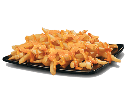 Mexican Cheesy Fries