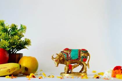 Multi-Colour Brass Kamadhenu Cow with Calf Idol (Color - Golden, Size - 4H *5L*3.5B) by Snova Enterprises Multi-Colour Brass Kamadhenu Cow with Calf Idol (Color - Golden, Size - 4H *5L*3.5B) by Snova Enterprises