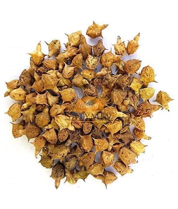 VINARGHYA PHARMACEUTICALS Bada Gokhru / Brihat Gokshru  Trikantaka Raw Herbs 100 gm Pack Of 1