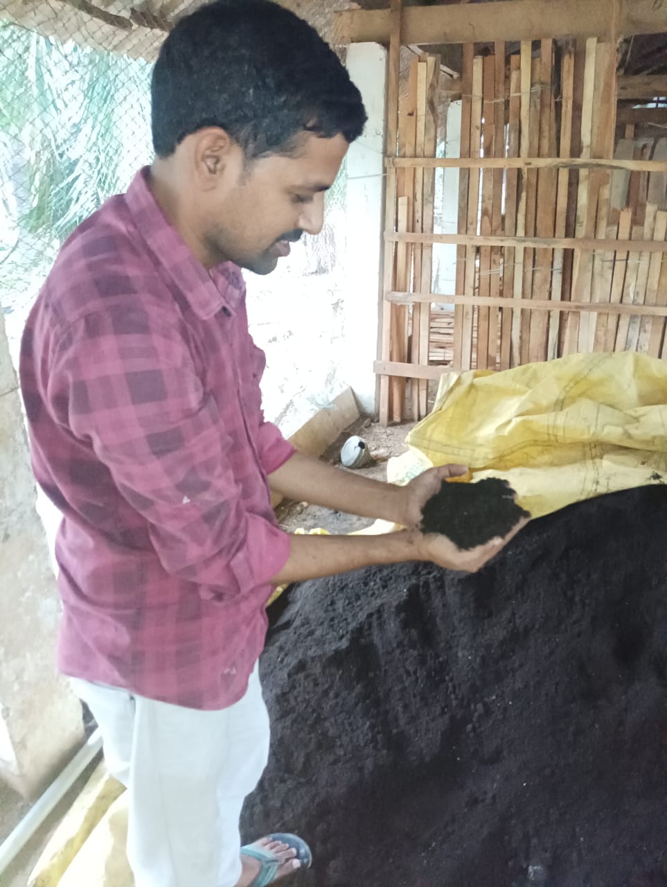 BHOOVEDYAM JIVA SHAKTHI TRICODERMA