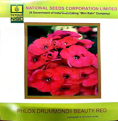 NSC Phlox Drummondii Beauty Red Flower Seed