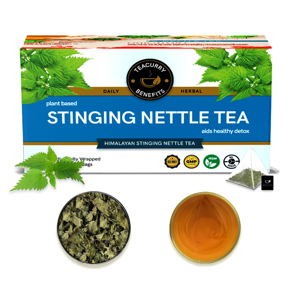 TEACURRY Stinging Nettle Tea (1 Month Pack | 30 Tea Bags) - Helps with Kidney Detox, Blood Sugar, Blood Purify