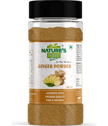 Natures Gift Ginger Powder - 7 Oz Spice Jar Powder 200 gm