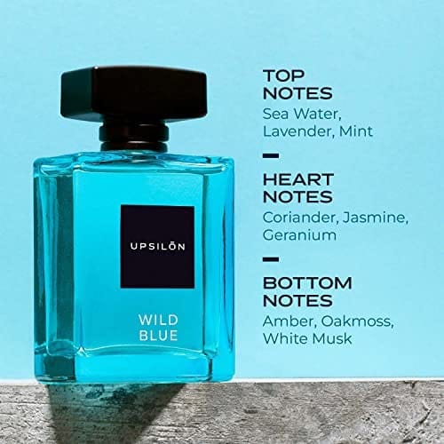 UPSILON Wild Blue Eau De Parfum Premium Long Lasting Fresh & Powerful Fragrance Spray Travel Friendly Luxury Parfum Scent | Mens Perfume | 100ml - Pack Of 1