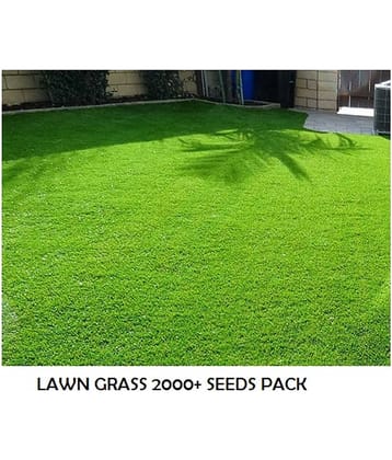 LAWN GRASS 2000 SEEDS PACK WITH USER MANUAL FOR TERRACE AND OUTDOOR GARDENING