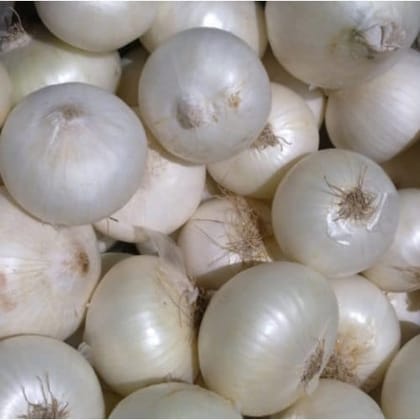 Organic White Onion - Fresh from the Earth (200g)