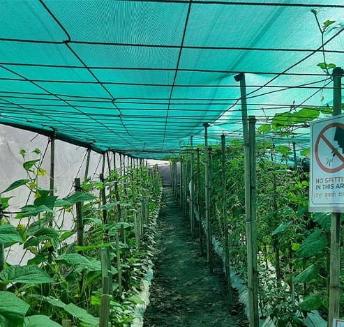 GROWIT SHADE NET 90% SF 4.2M X 50M
