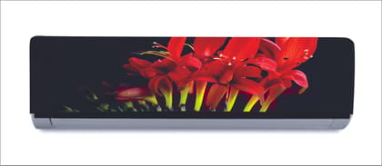 DreamKraft Beautiful Red Flowers with Dark Background AC Sticker (Multicolor PVC Vinyl, 30cm X 91cm)