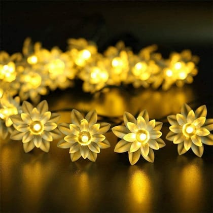 GLOWSERIE Golden Blossom LED Fairy Lights for Home & Party Decor