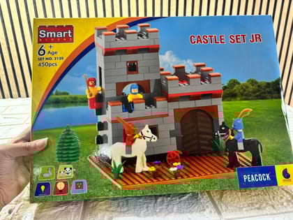 450 PCS Castle Building Blocks Sets,Creative Ideals Dream Palace Building Blocks, Best Micro Mini Bricks Gift for 5+, 6+, 7+, 8+, 9+, 10+ Year Boys, Girls | Toy Blocks for Gifting