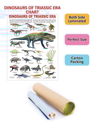Dinosaurs of Triassic Era Educational Wall Chart For Kids - Both Side Hard Laminated (Size 48 x 73 cm) [Wall Chart] Dreamland Publications
