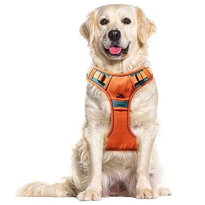 BlingPets Premium Dog Harness, Adjustable Heavy Duty Belt, Perfect for Training, Walking, Running, Hiking, Comfortable & Secure Fit (Orange,Extra Large)
