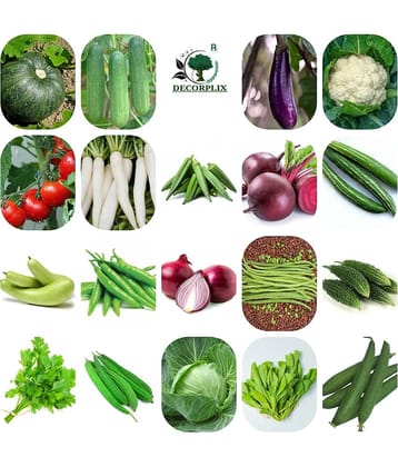 DECORPLIX Brinjal Vegetable 19 Varieties ( 1000 Seeds )