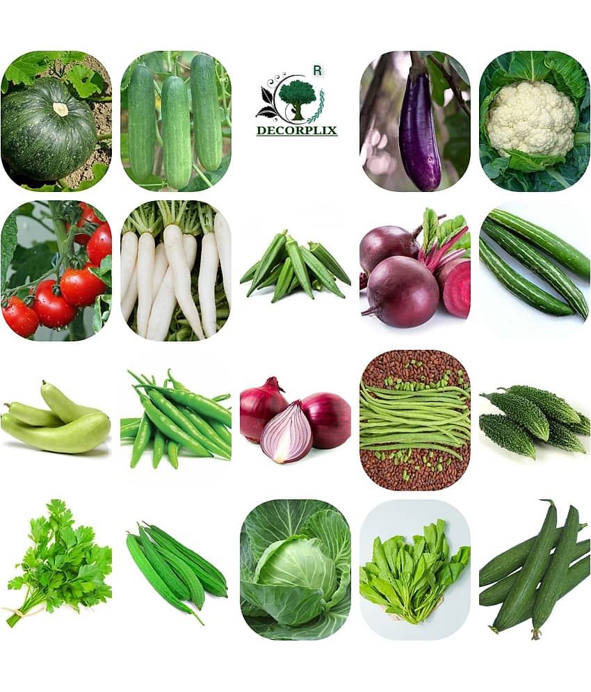 DECORPLIX Brinjal Vegetable 19 Varieties ( 1000 Seeds )