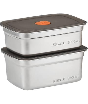 SHARUJA Premium Steel Silver Food Container ( Set of 2 )