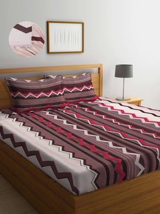Brown & Red Graphic 300 TC King Bedsheet with 2 Pillow Covers