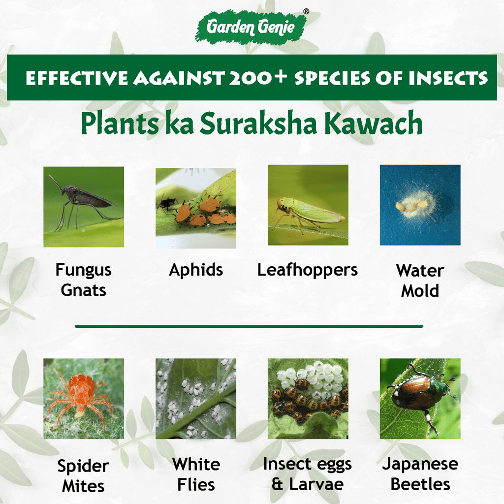 Garden Genie Neem Oil Spray for Plants 500ml | Pure Organic Cold Pressed Ready to Use Spray for Home Garden | Protect Plants from Fungus & Other Common Pests