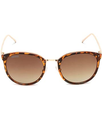 Roadies - Multicolor Round Sunglasses ( Pack of 1 )