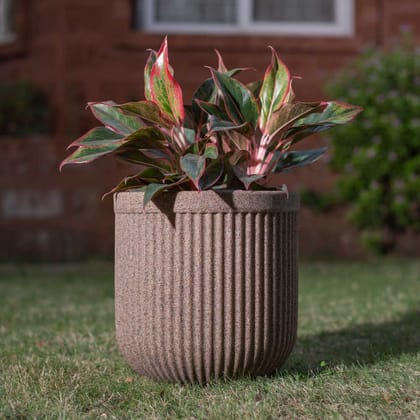 Tokyo Round Planter-Sandstone / Small