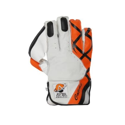 Aver Catch It Wicket-Keeping Gloves