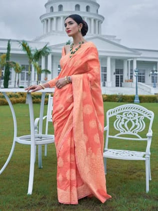 Coral - Kora Cotton Silk Lucknowi Chikankari Saree