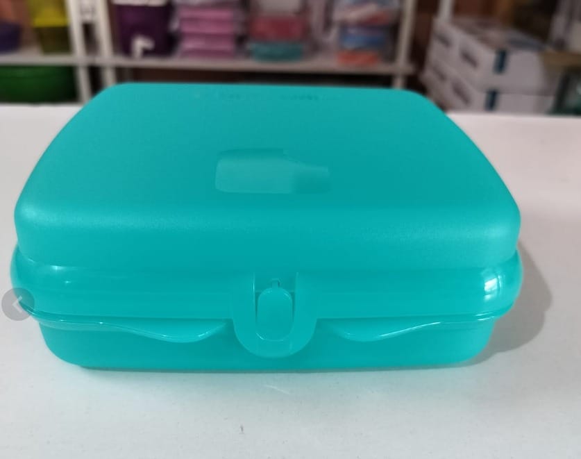 Sandwich Keeper