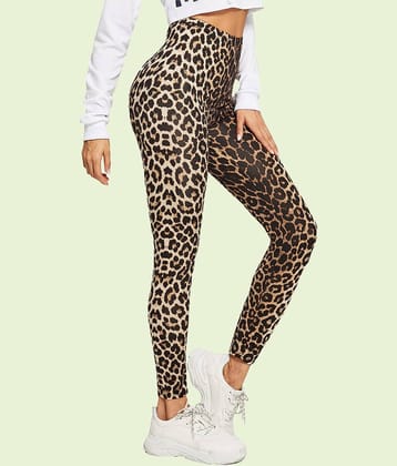 DTR FASHION - Cotton Blend Regular Fit Multicolor Women's Jeggings ( Pack of 1 )