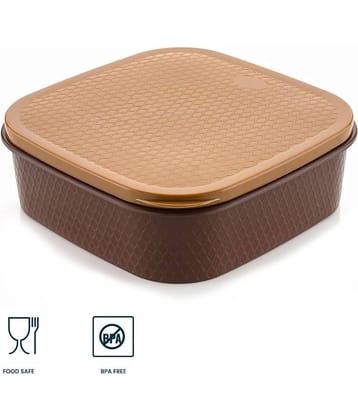 iview kitchenware Masala/Spice Container 1U (150 ml each compartment)