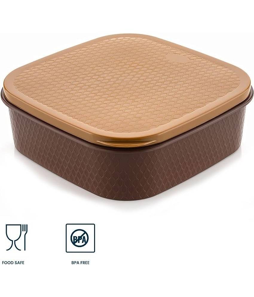 iview kitchenware Masala/Spice Container 1U (150 ml each compartment)