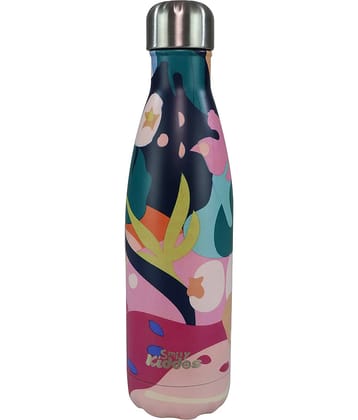 Smily  kiddos - Steel water bottle - Multicolor Multicolour Water Bottle 500 mL ( Set of 1 )