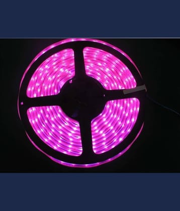 SPARKWORLD Pink 5M LED Strip ( Pack of 1 )