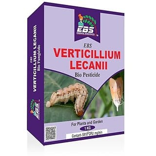 EBS Bio Verticillium Lecanii For Plants and Major Crops