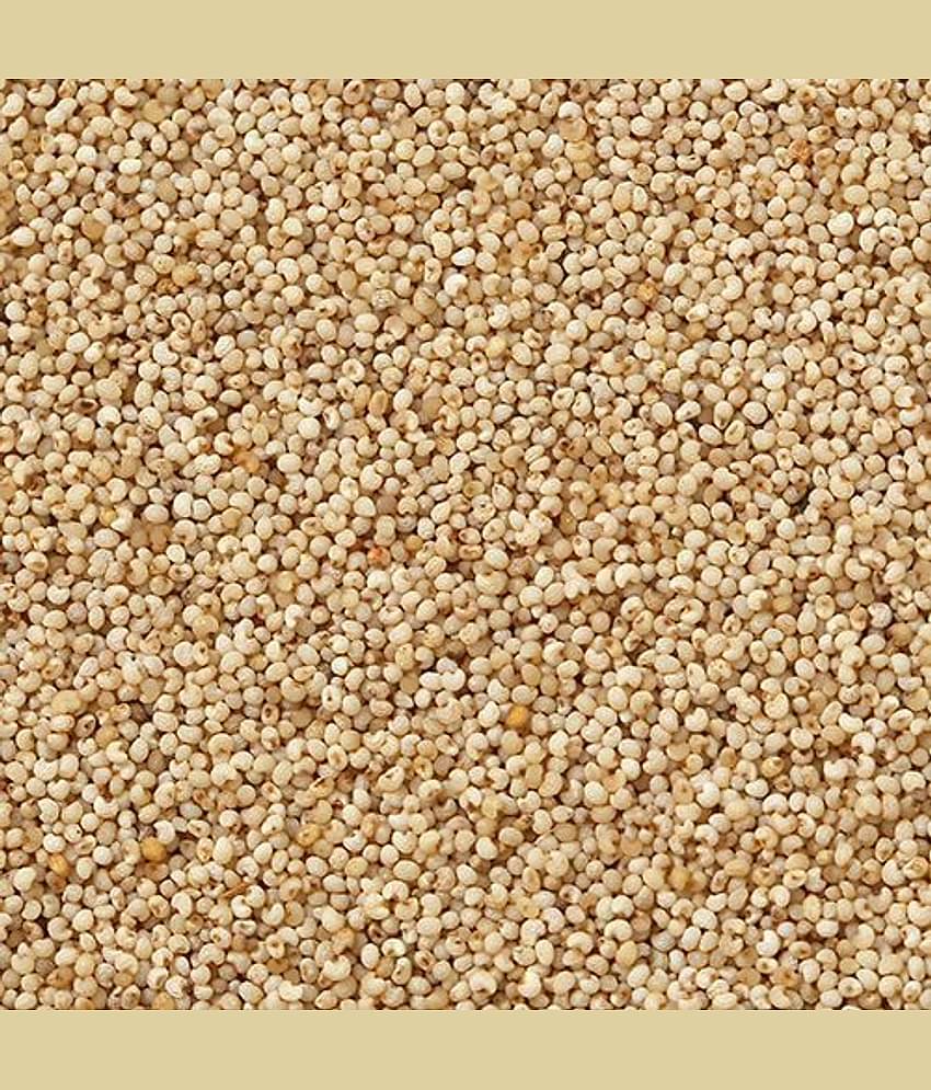 UPPAL SONS - 100 gm Khus Khus (Poppy seeds) (Pack of 1)