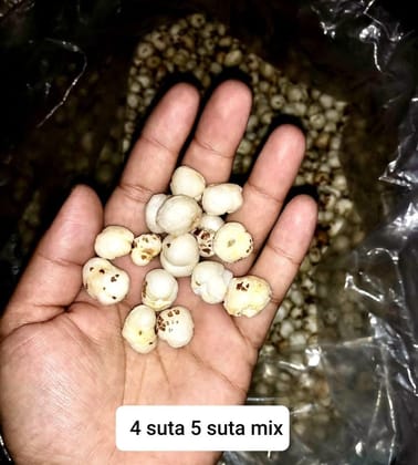 Premium Makhana (Fox Nuts) (4-5 Suta Mix) | Crunchy & Nutritious | Healthy Snacking