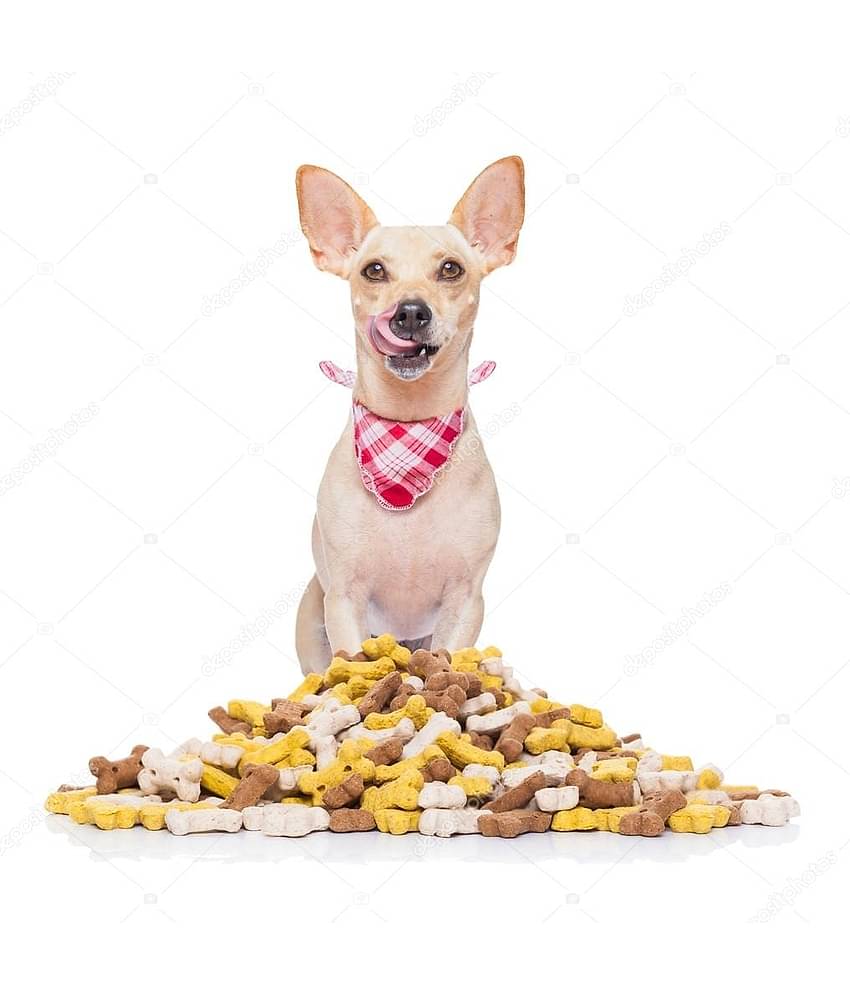 super chain Treat Dog Food Chicken & Veg for All ( 1 Kg )