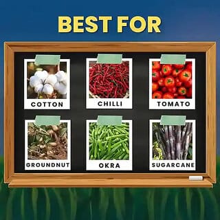 ... ...