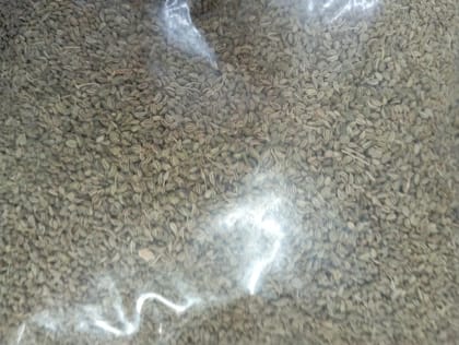 Ajwain