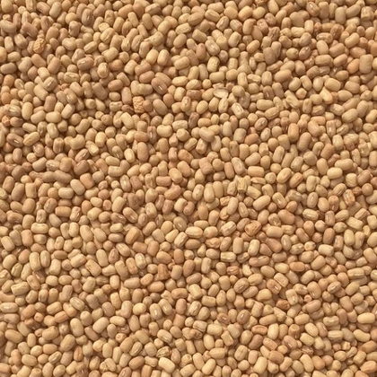 Moth Dal 1 kg