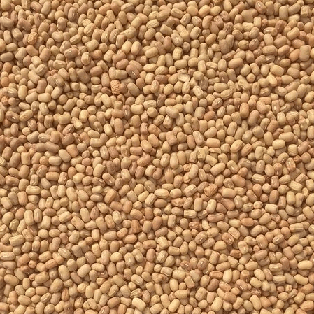 Moth Dal 1 kg